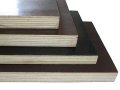 Wood Flooring Base