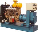 Ricardo Diesel Generator Set