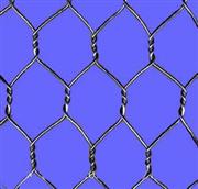 Dingzhou Chaoda Metal Wire Mesh Co.,Ltd