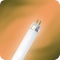 fluorescent lamps