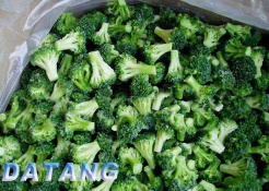 Frozen Broccoli