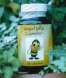 Royal Jelly Capsules