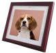 10.4 inch Digital Photo Frame