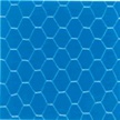 hexagonal wire netting