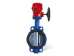 butterfly valve