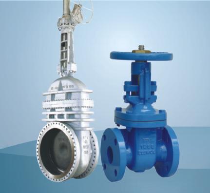 gate valve