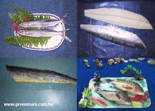 Mahi Mahi.Tilapia.Mackerel.Flyfish