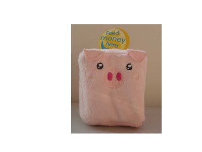 coin purse