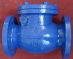 Check Valve & Gate Valve