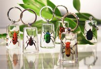 Bug Key Chains