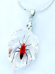 Bug Necklaces