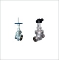 gate valve