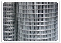 Welded Wire mesh