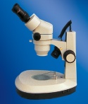 stereo microscopes