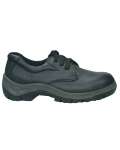 Low Cut Safety Shoes  - Low Cut Safety Shoes