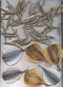 dried anchovy, dried stripe trevally, dried herring, dried leather jacket,Dried Round Scad, Dried Thream Fin