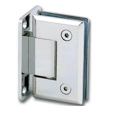 Shower Hinge