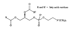 Ginsenoside Rg3