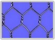 hexagonal wire netting