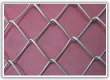 chain link fences