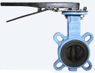 Butterfly Valve