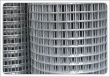 welded wire mesh