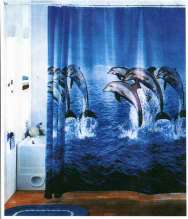 shower curtain