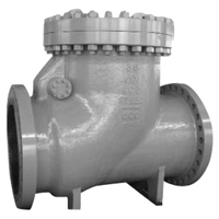 Giant Check Valve