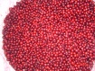 frozen lingonberry