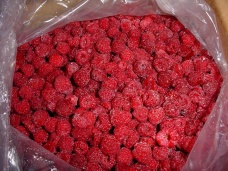 frozen raspberry