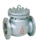 Check valve