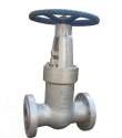 forged steel check valve