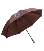 Promotional umbrella