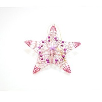 Star decoration