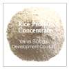 Rice Protein Concentrate