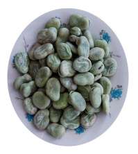 IQF Broad Bean