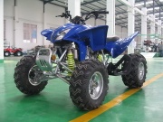 ATV300ST