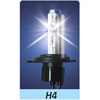 AUTOMOTIVE HALOGEN LAMP