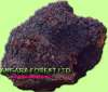 Chaga mushroom(Birch mushroom)