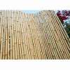 bamboo fencing