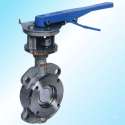 Flange Expansion Butterfly Valve