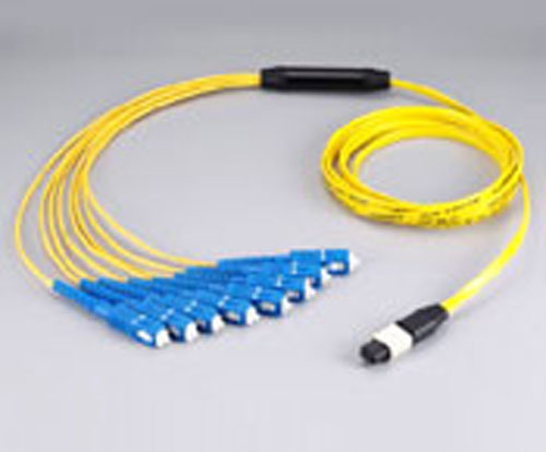 MPO fan-out patch cords