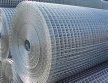 Welded wire mesh