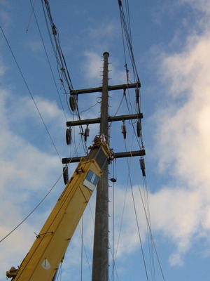 Transmission pole