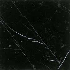 Taurus Black Marble