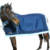 horse blanket