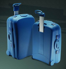 Shenzhen Zhengxiong Luggage Co., Ltd.