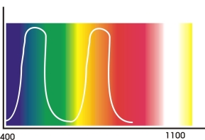 spectrogram