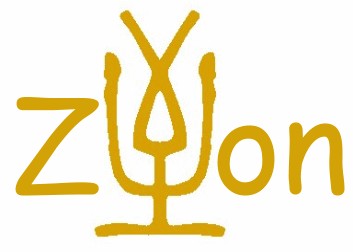 Zillion Creation House