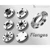 Stainless Steel Flanges